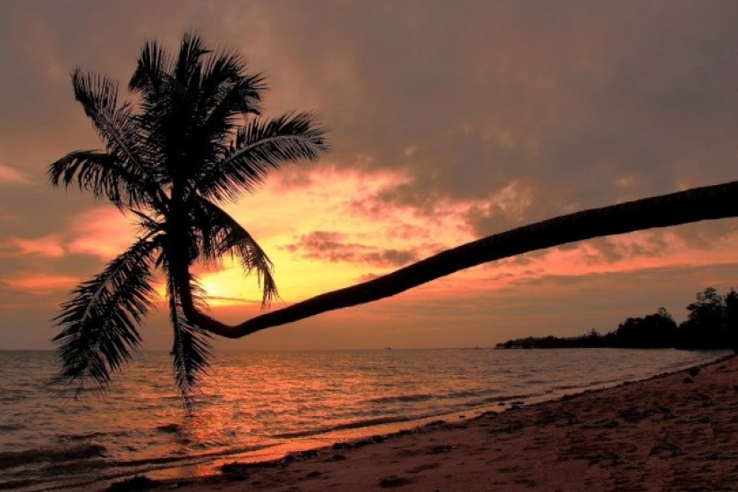 Tailandia no es solo Phuket. 7 islas del reino secreto Tailandia no es solo Phuket. 7 islas del reino secreto