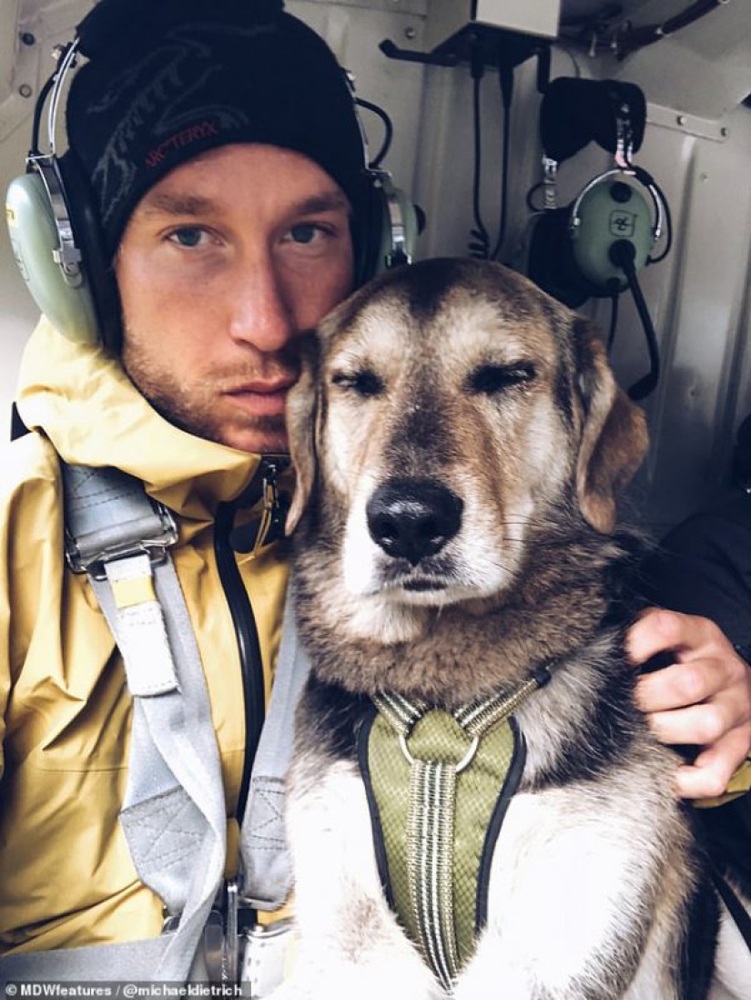 Take a friend to the mountains, take a chance: an avid traveler and his faithful dog in search of adventure