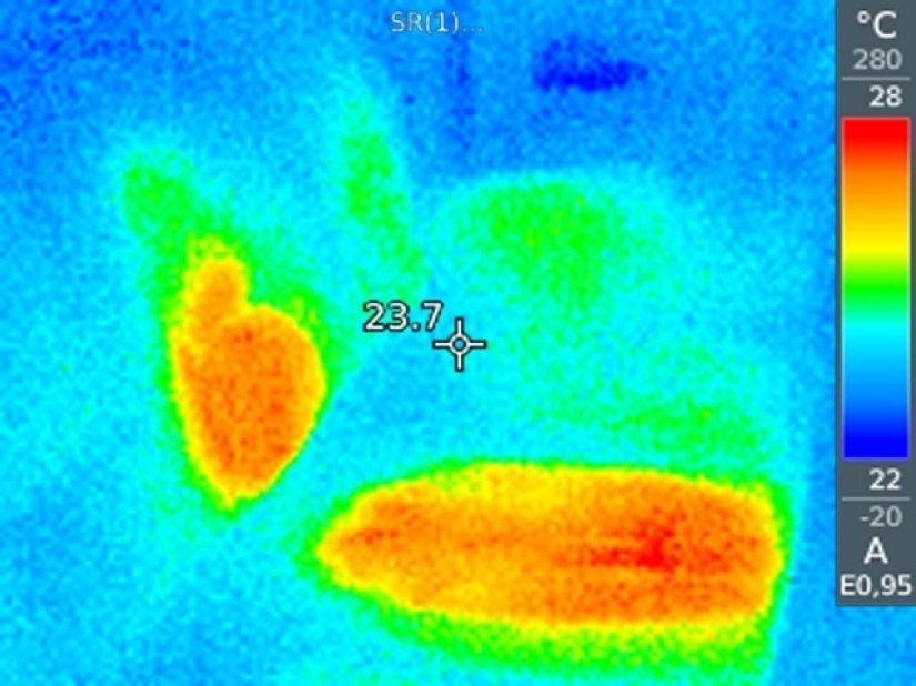 Take care of your family and warmth! How familiar things look through a thermal imager