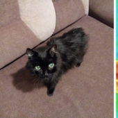 Take care of your family and warmth! How familiar things look through a thermal imager Take care of your family and warmth! How familiar things look through a thermal imager