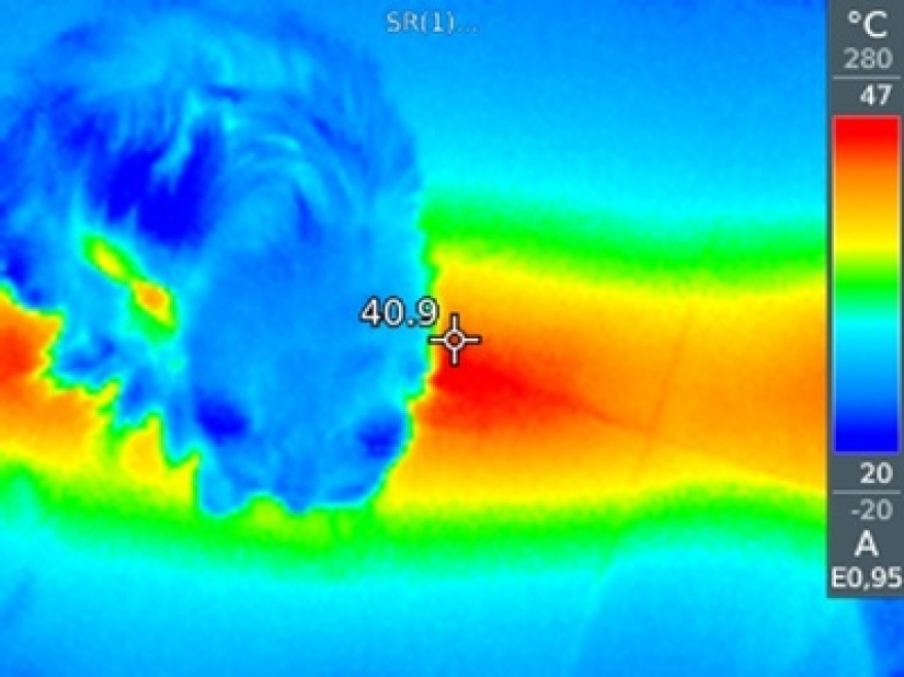Take care of your family and warmth! How familiar things look through a thermal imager