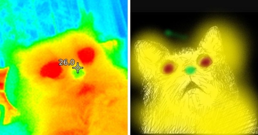 Take care of your family and warmth! How familiar things look through a thermal imager