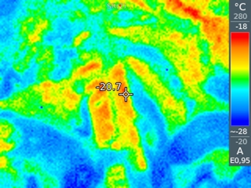 Take care of your family and warmth! How familiar things look through a thermal imager