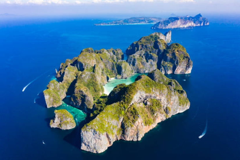 Take me back to the beach! The beautiful Thai bay made famous by Leonardo DiCaprio's famous movie reopens after a three-year coral rejuvenation project Take me back to the beach! The beautiful Thai bay made famous by Leonardo DiCaprio's famous movie reopens after a three-year coral rejuvenation project