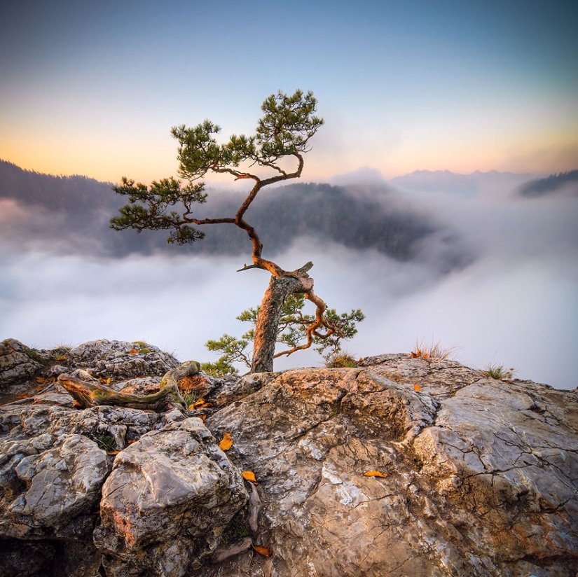 Tatras - mountains of amazing beauty