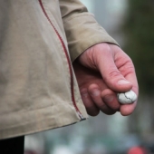 Terebi eggs: Canadians have come up with a "device" to calm down