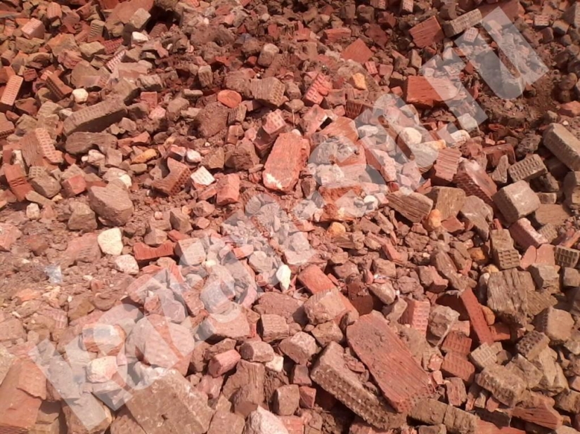 Términos de descomposición de basura en fotos Términos de descomposición de basura en fotos