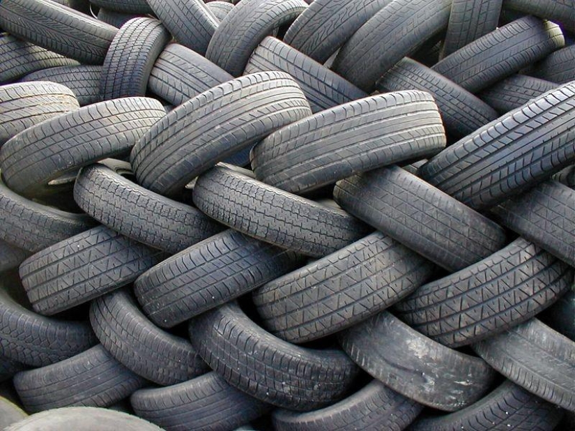 Términos de descomposición de basura en fotos Términos de descomposición de basura en fotos