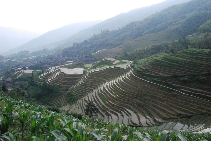 Terrazas de Arroz de Dragon Ridge