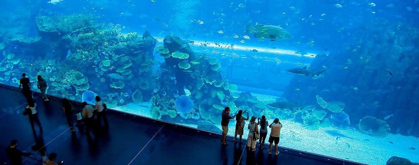 The 10 most striking structures of the UAE