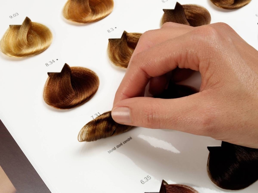 The 11 most unusual museums in America The 11 most unusual museums in America