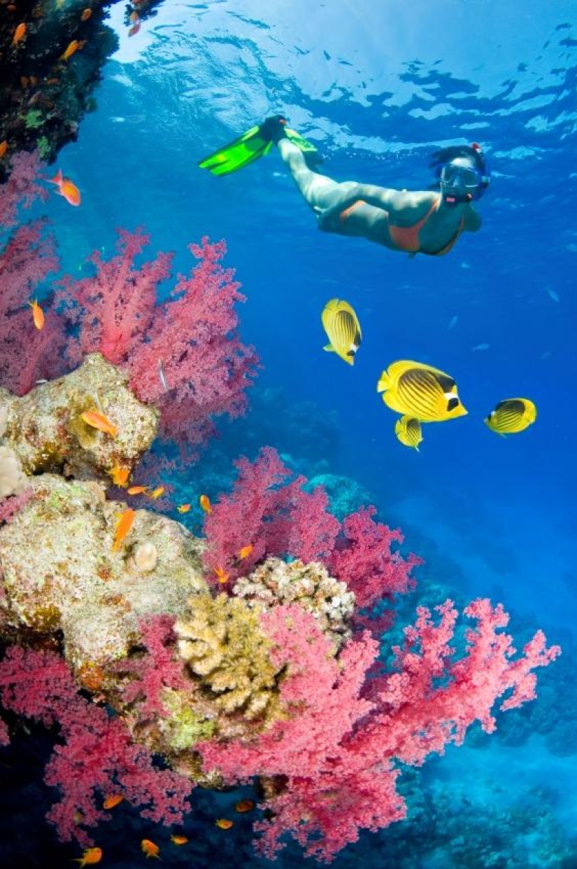 The 25 best places to snorkel