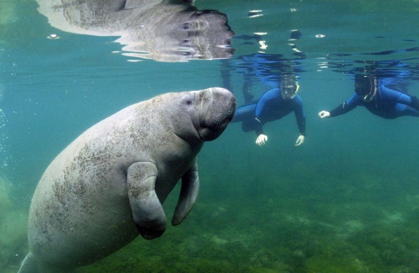 The 25 best places to snorkel