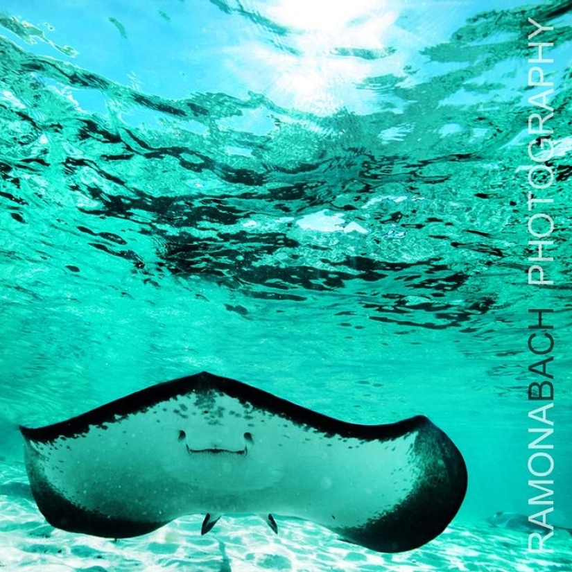 The 25 best places to snorkel