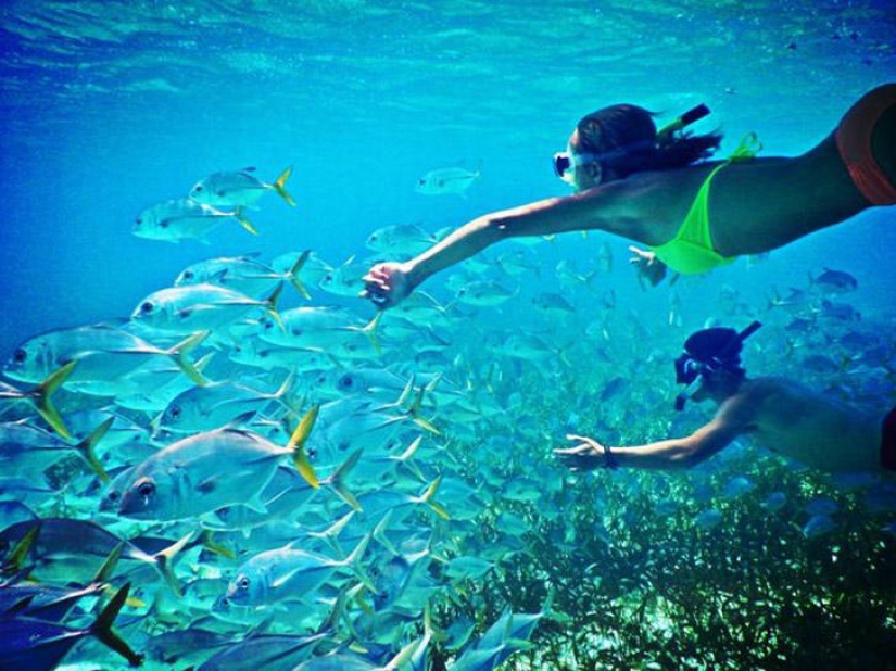 The 25 best places to snorkel