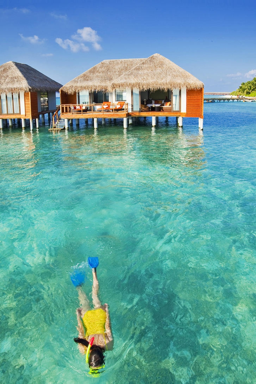 The 25 best places to snorkel