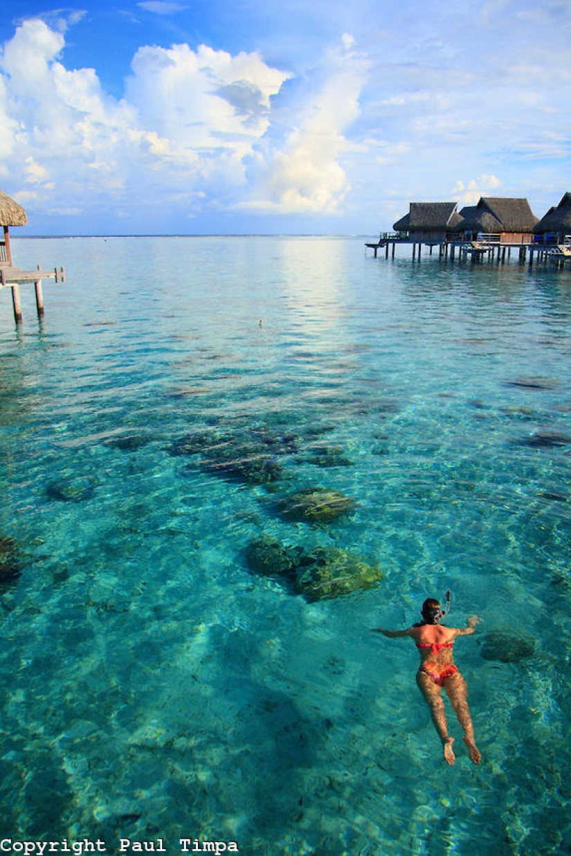 The 25 best places to snorkel