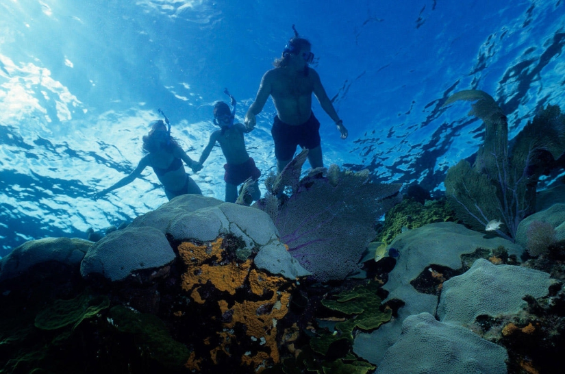 The 25 best places to snorkel