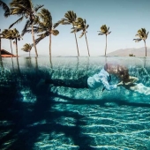 The 50 best wedding photos for 2018 have been selected The 50 best wedding photos for 2018 have been selected