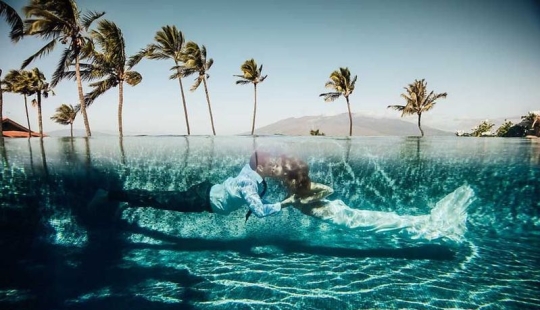 The 50 best wedding photos of 2018 have been announced The 50 best wedding photos of 2018 have been announced