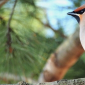 The annual photo contest from National Geographic Russia has already started. Hurry up to become a participant! The annual photo contest from National Geographic Russia has already started. Hurry up to become a participant!