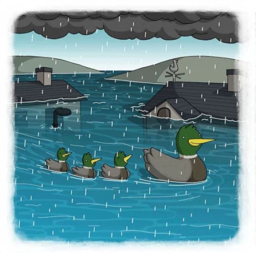 The artist made funny cartoons of proverbs from all over the world, and that's what came out of it The artist made funny cartoons of proverbs from all over the world, and that's what came out of it