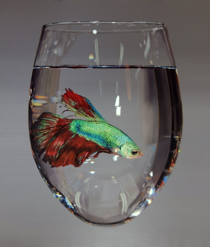 The artist's paintings are so detailed that they look like real ones.
