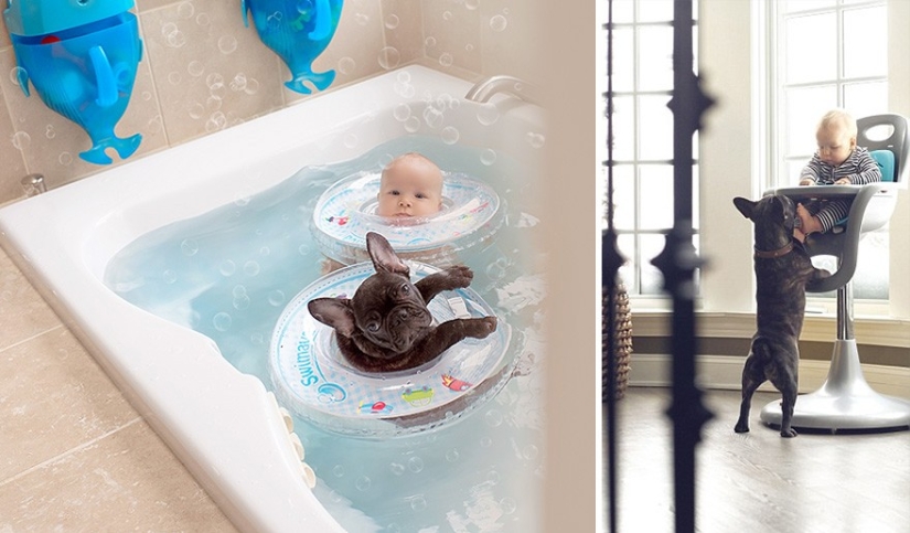 The baby and the puppy were born on the same day and now they think they are brothers