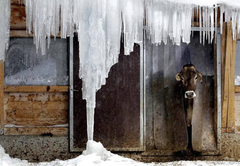 The beauty of winter