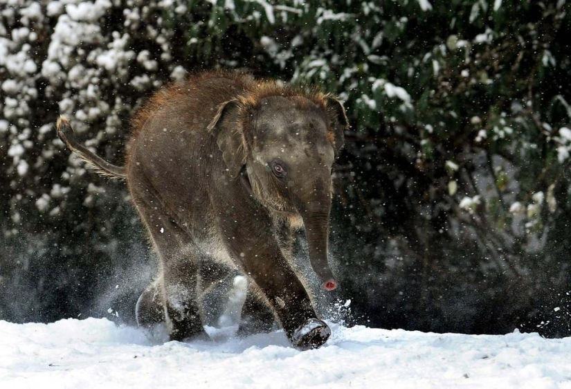 The beauty of winter