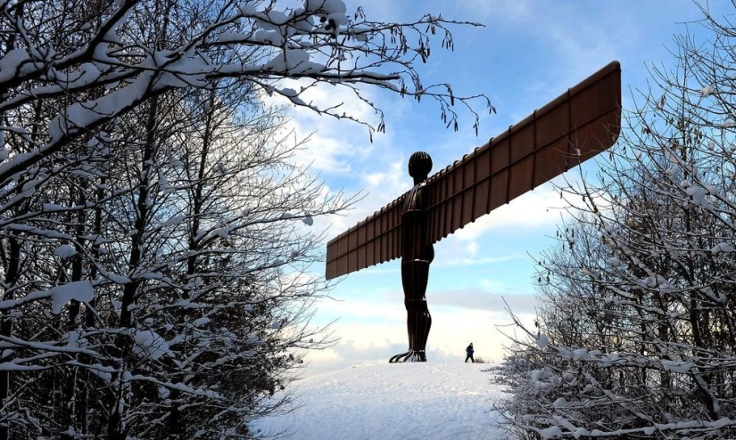 The beauty of winter