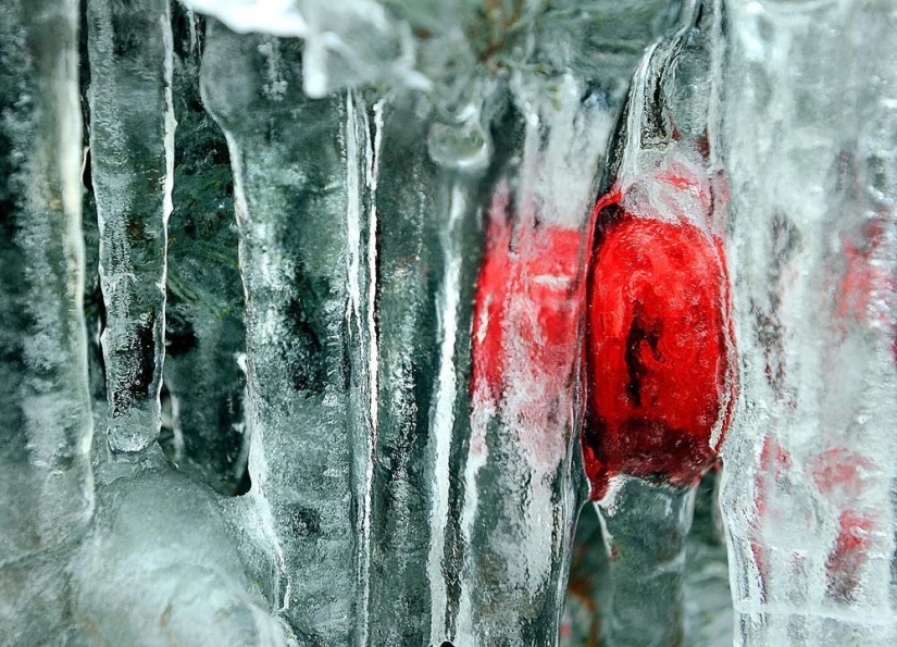 The beauty of winter