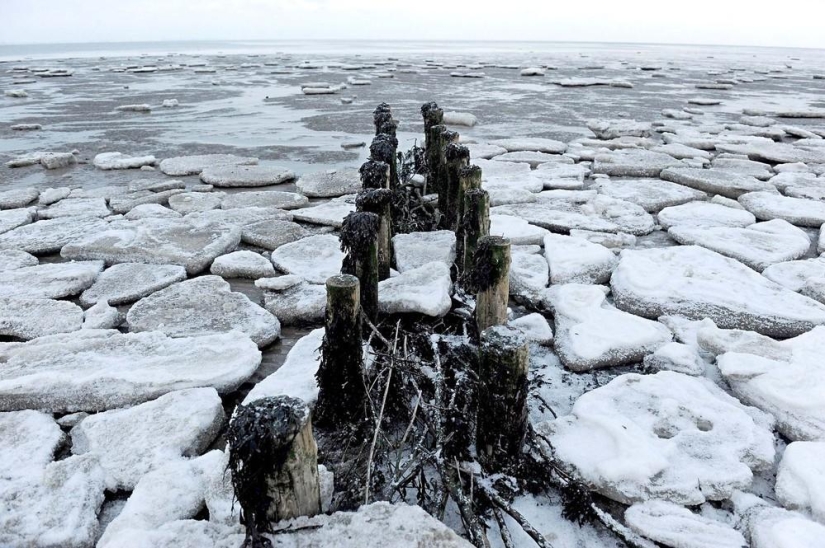 The beauty of winter