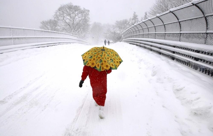 The beauty of winter