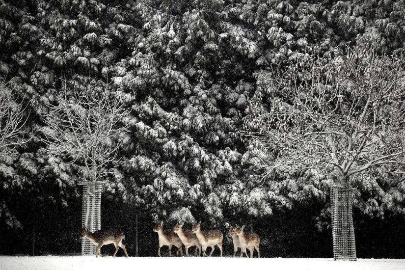 The beauty of winter