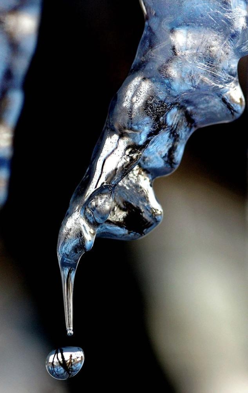 The beauty of winter