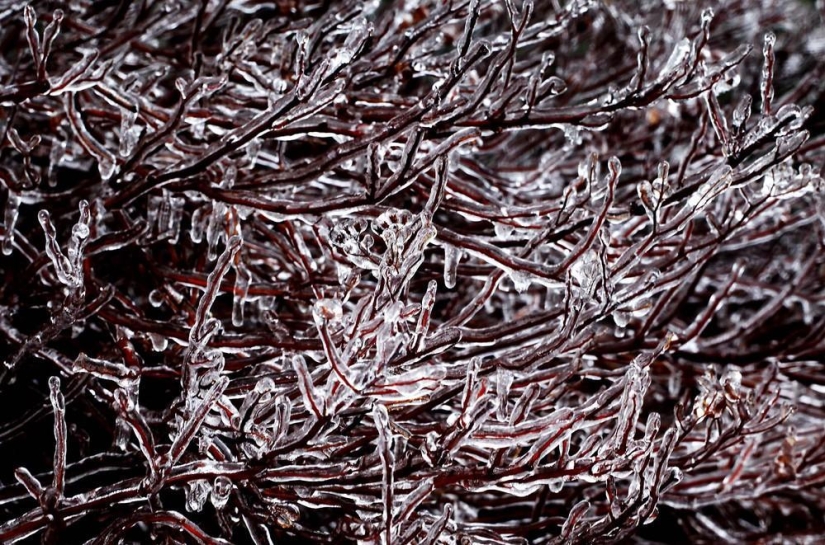 The beauty of winter