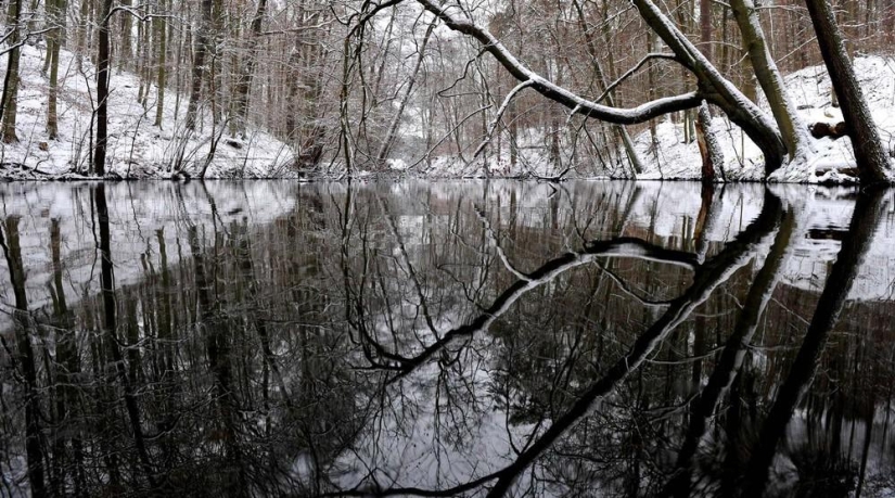 The beauty of winter