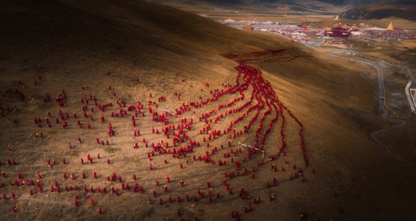 The Best of the Best: the annual Sony World Photography Awards photo contest begins to determine the winners