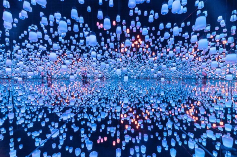 The Best of the Best: the annual Sony World Photography Awards photo contest begins to determine the winners