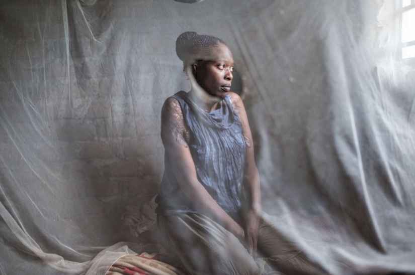 The best photos from the shortlist of the 17th Smithsonian Photo Contest