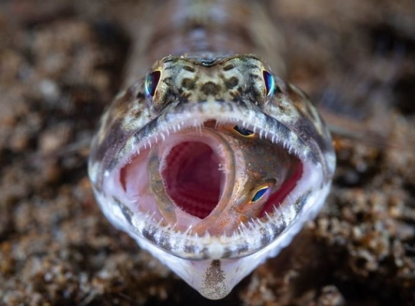 The best photos of National Geographic 2018