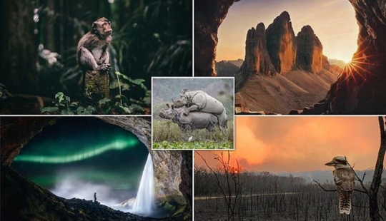 The best pictures from the Sony World Photography Award 2020