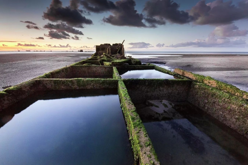 The best works from the final of the Love 2019 photo contest