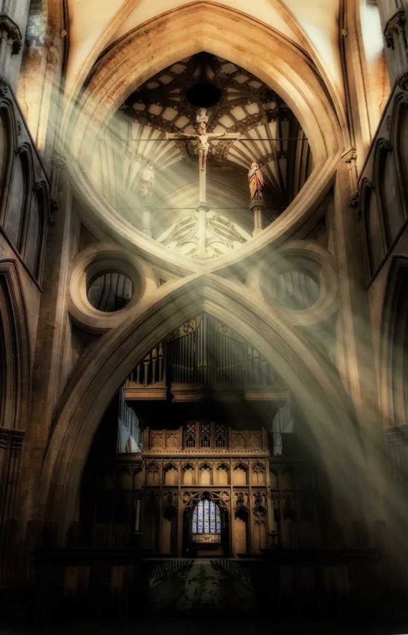 The best works from the final of the Love 2019 photo contest