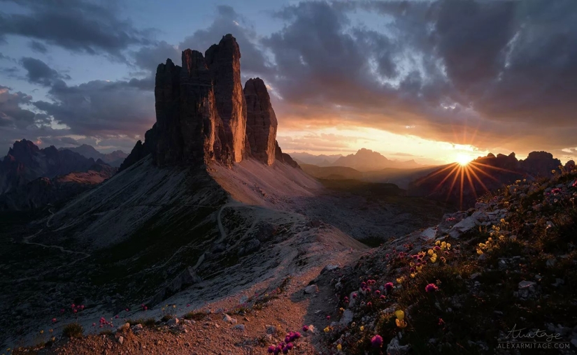 The best works from the final of the Love 2019 photo contest