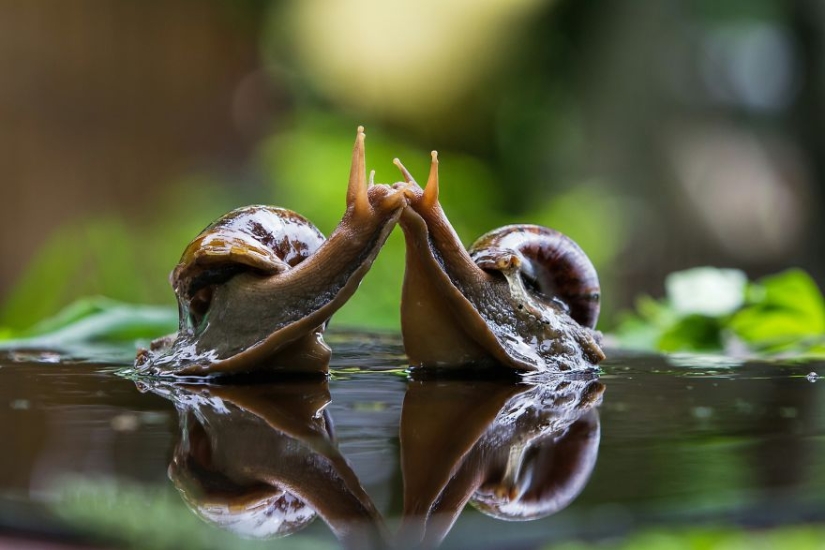 The best works from the final of the Love 2019 photo contest