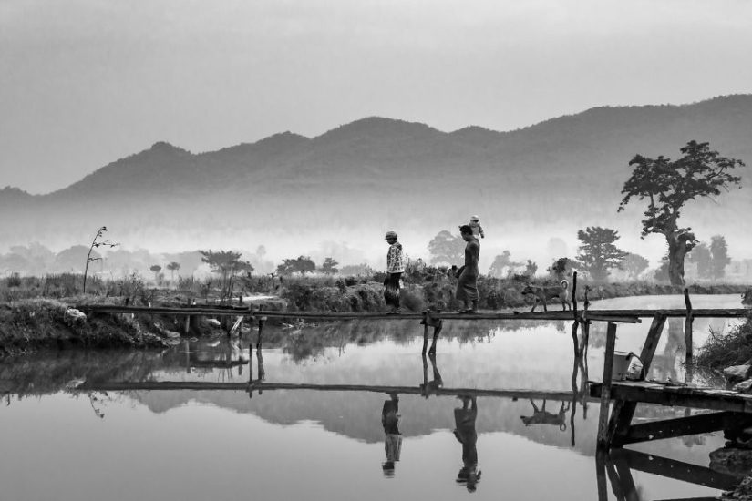 The best works from the final of the Love 2019 photo contest