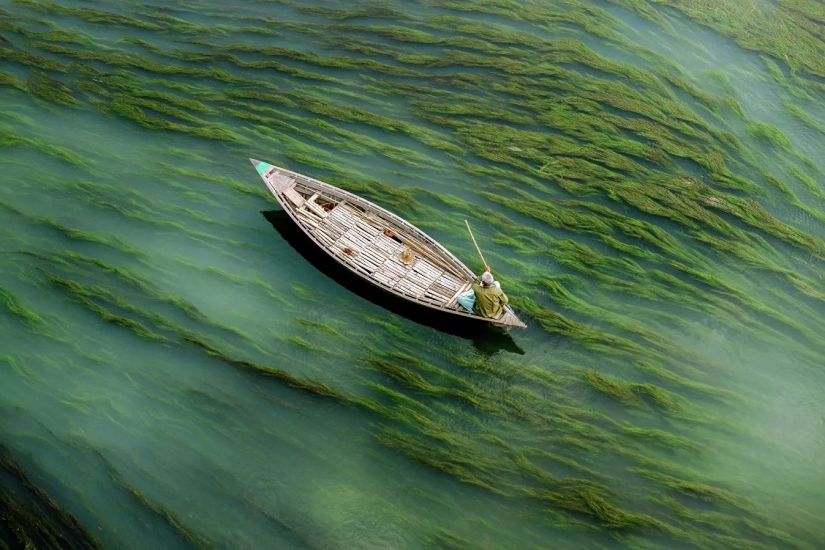 The best works from the final of the Love 2019 photo contest