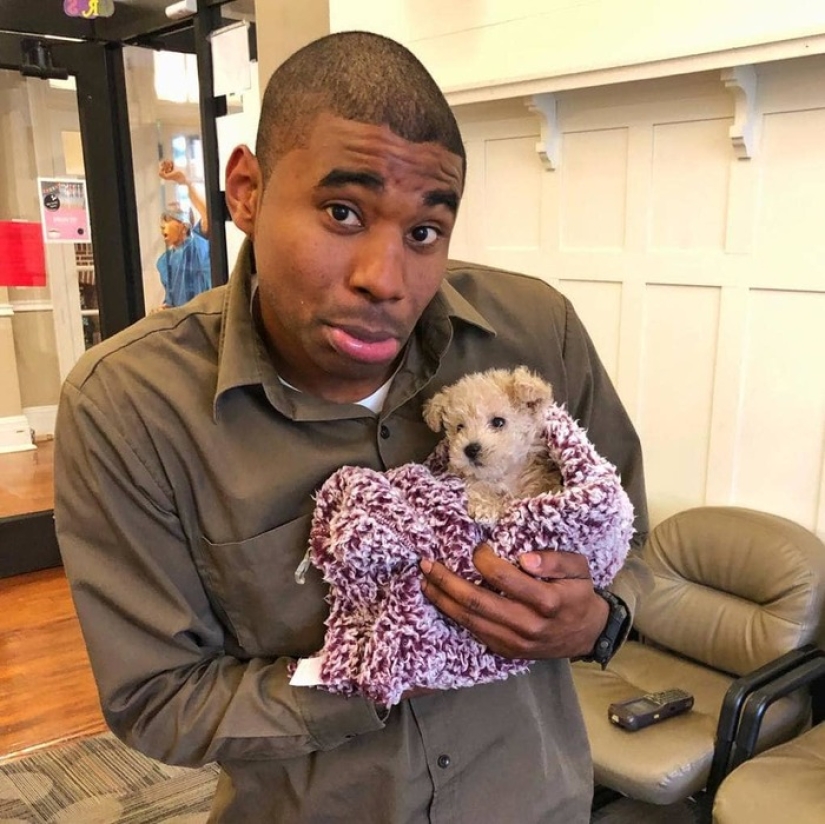 The courier guy loves his job. All because he is allowed to squeeze other people's dogs